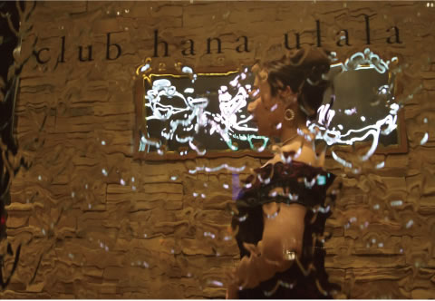 明確な料金システム